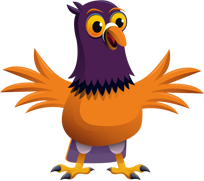 bird image